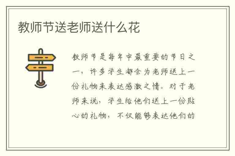 教师节送老师送什么花(教师节送老师送什么花合适)